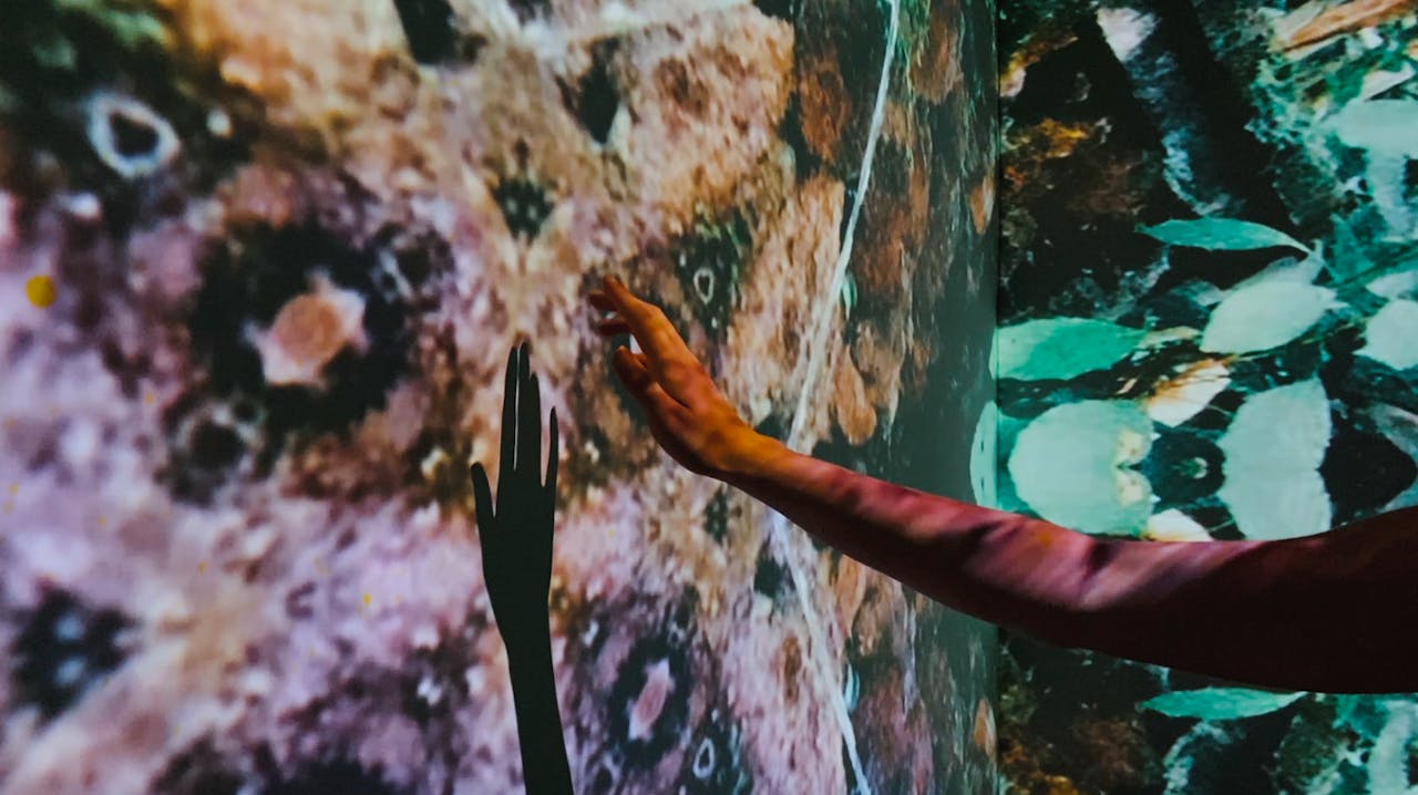 Short Doc: The Vine of the Soul