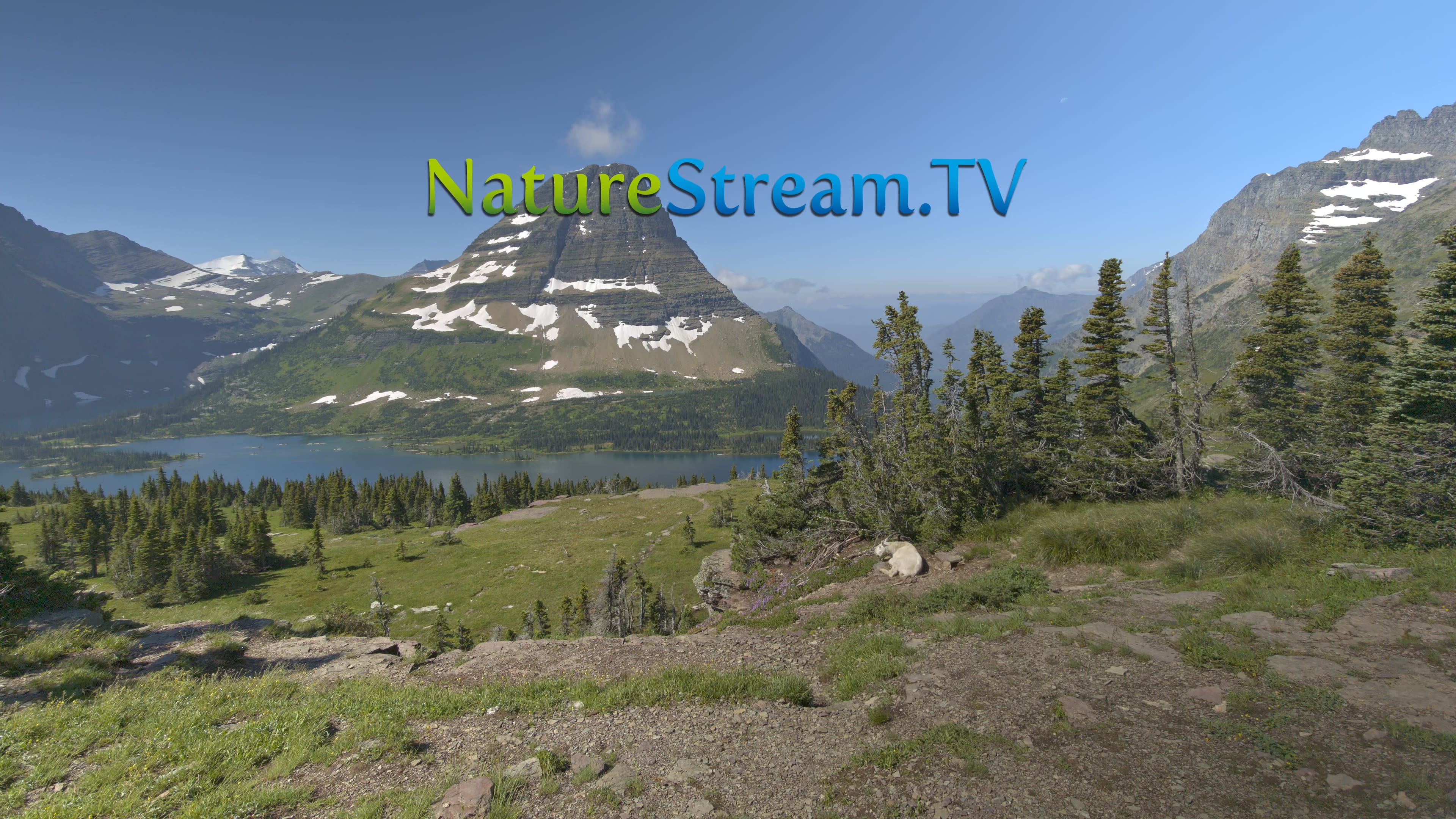 Preview for Journey Through Glacier National Park