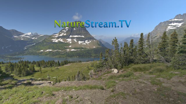 Preview for Journey Through Glacier N...