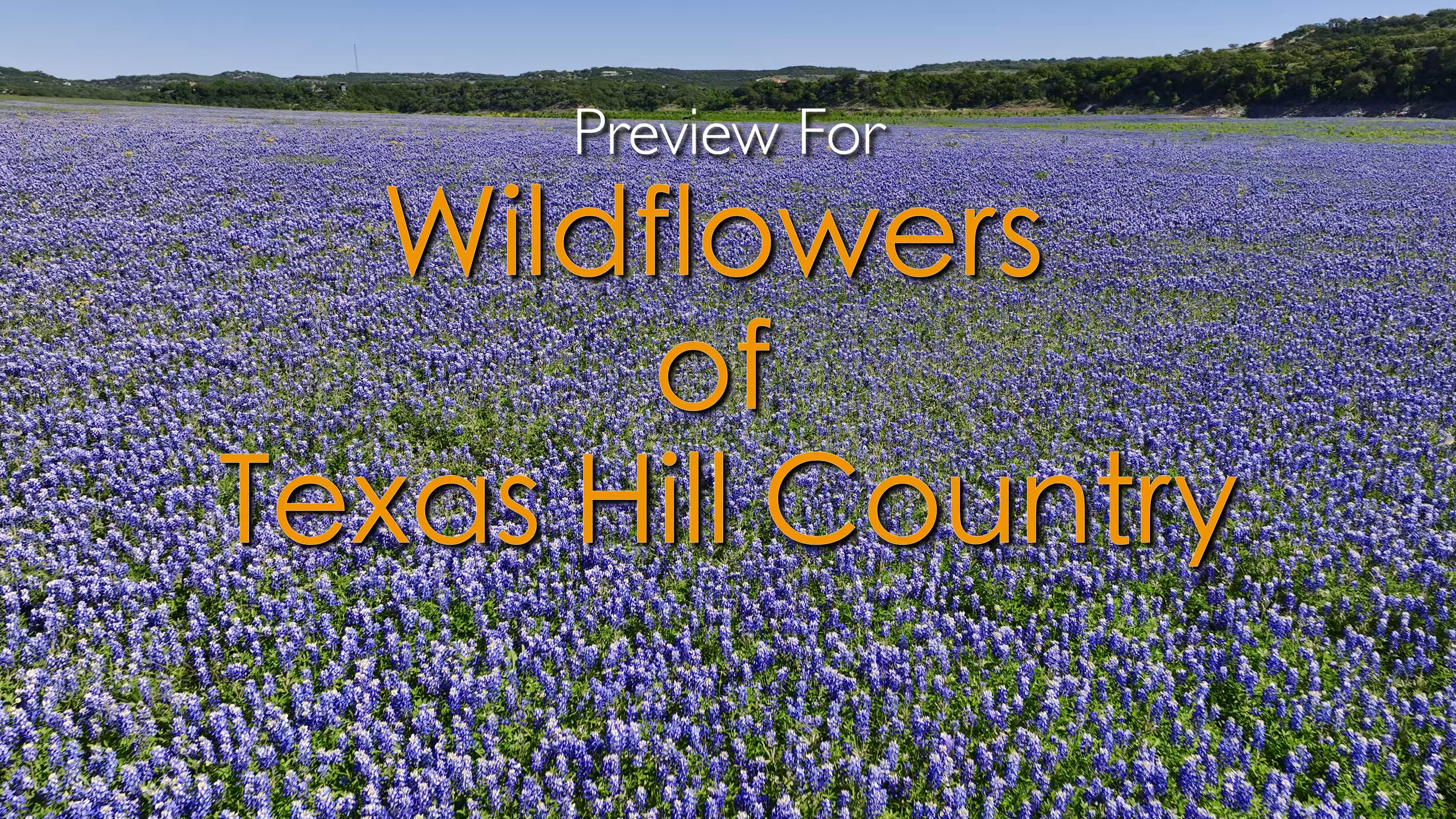 Preview for Wildflowers of Texas Hill Country