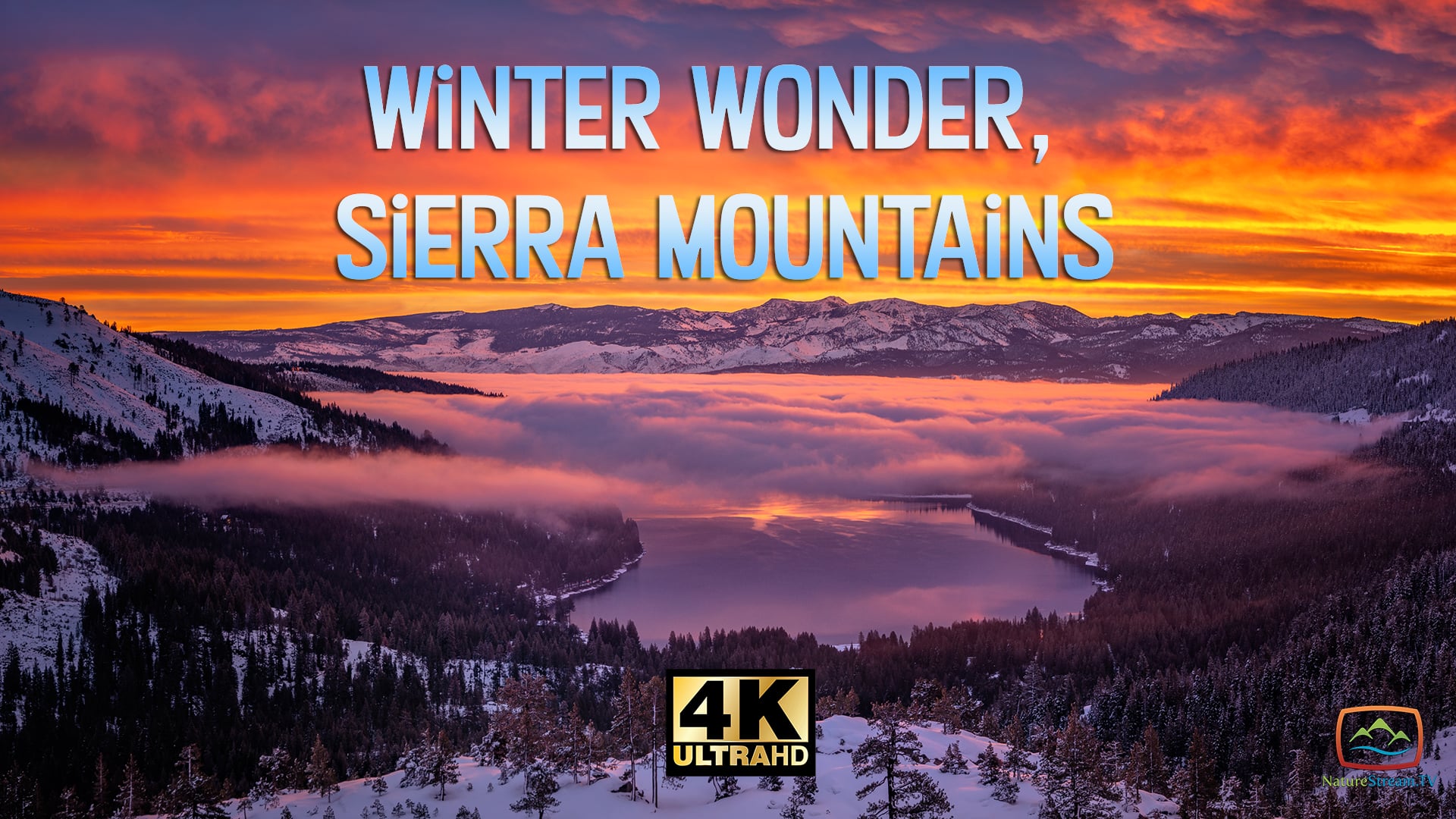Winter Wonder, Sierra Mountains