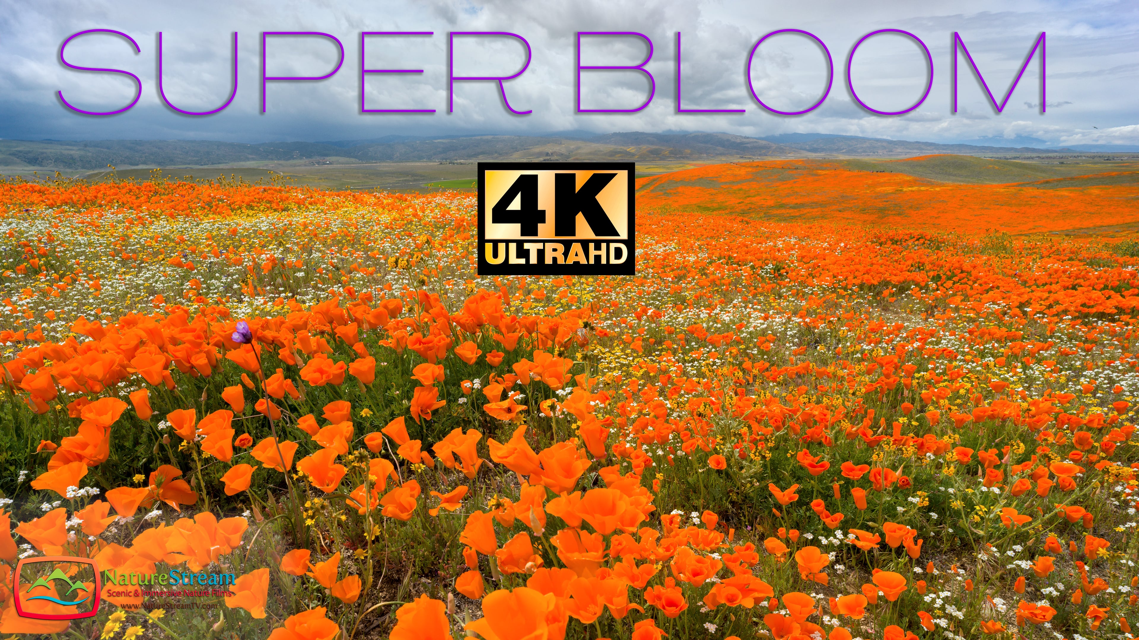 Superbloom