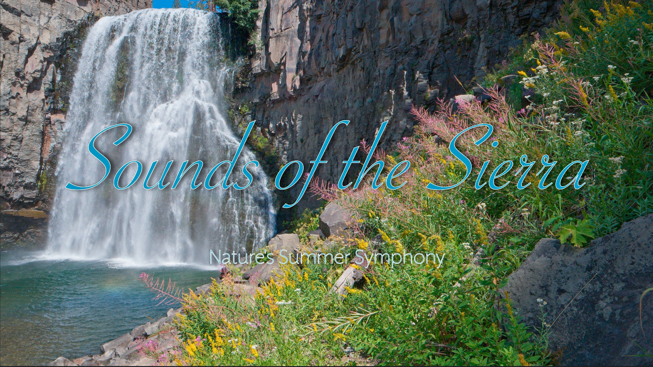 Sounds of the Sierra