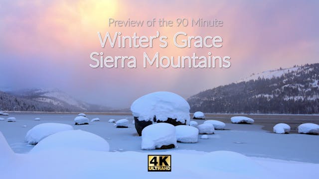 Preview of Winter's Grace