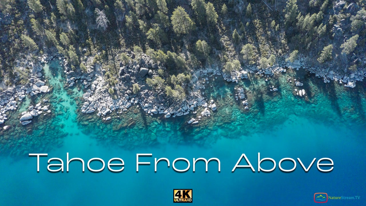 Tahoe From Above