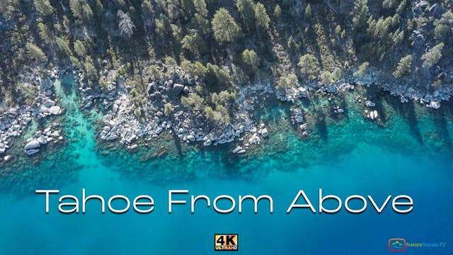 Tahoe From Above