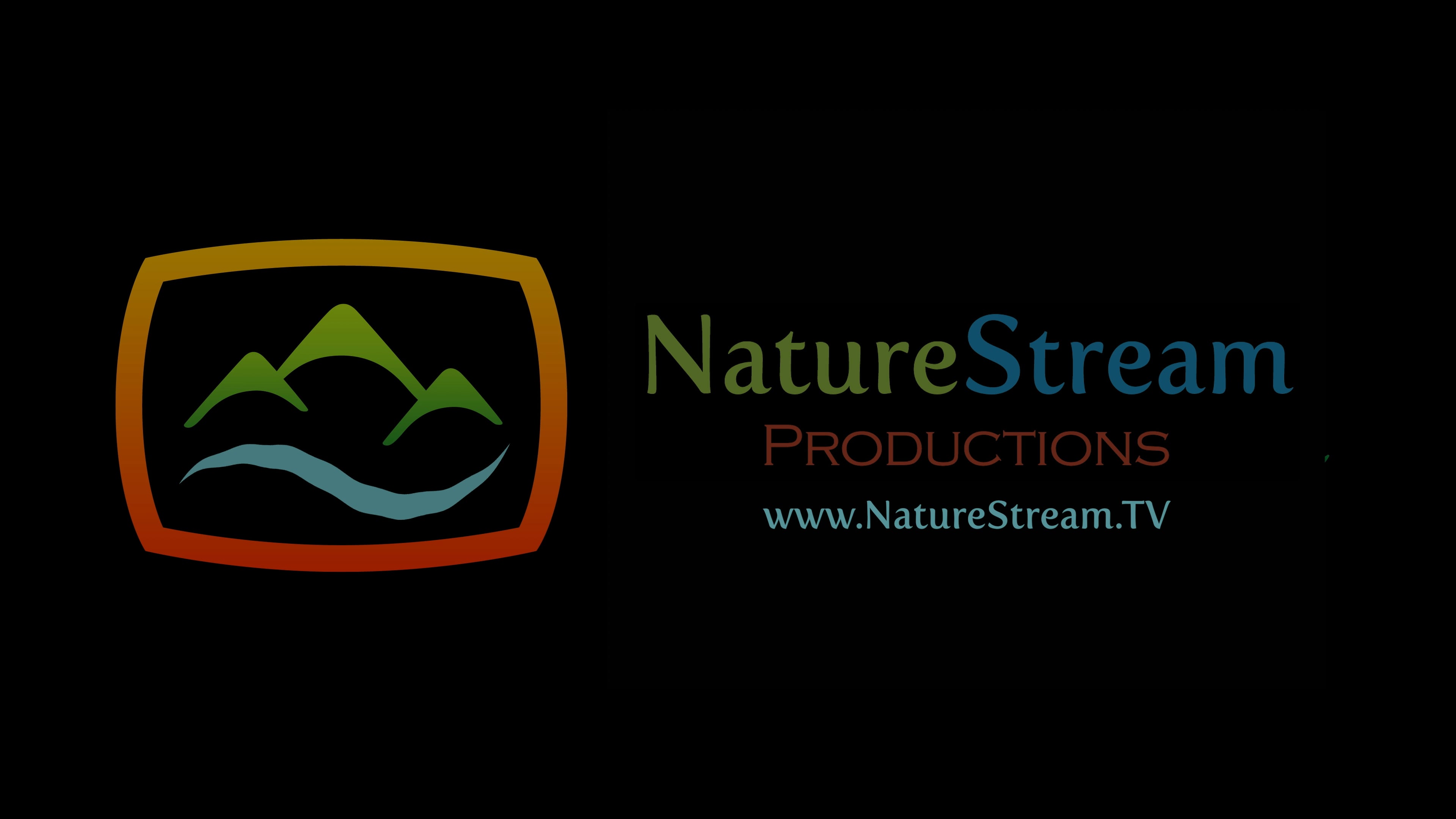 Preview of The High Sierra