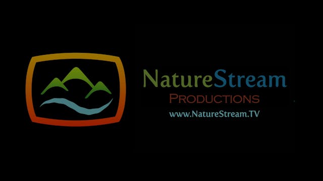 Preview of The High Sierra