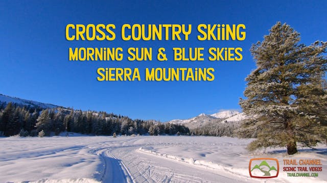 Cross Country Skiing - Morning Sun & ...