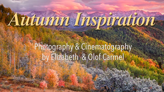  Autumn Inspiration in HD 1080p