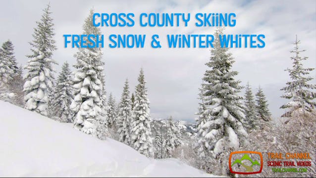 Cross Country Skiing - Fresh Snow and...