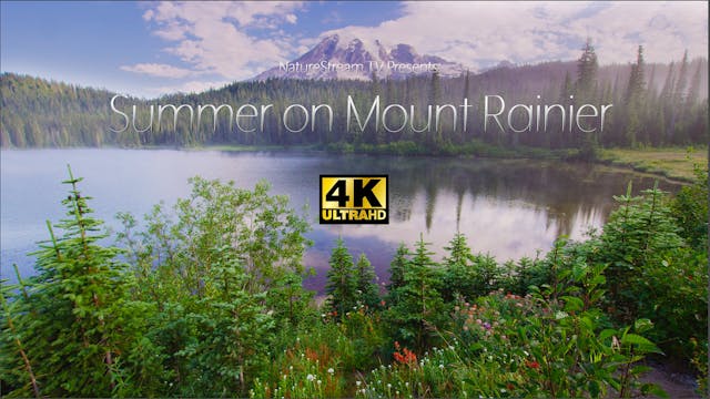Summer on Mount Rainier
