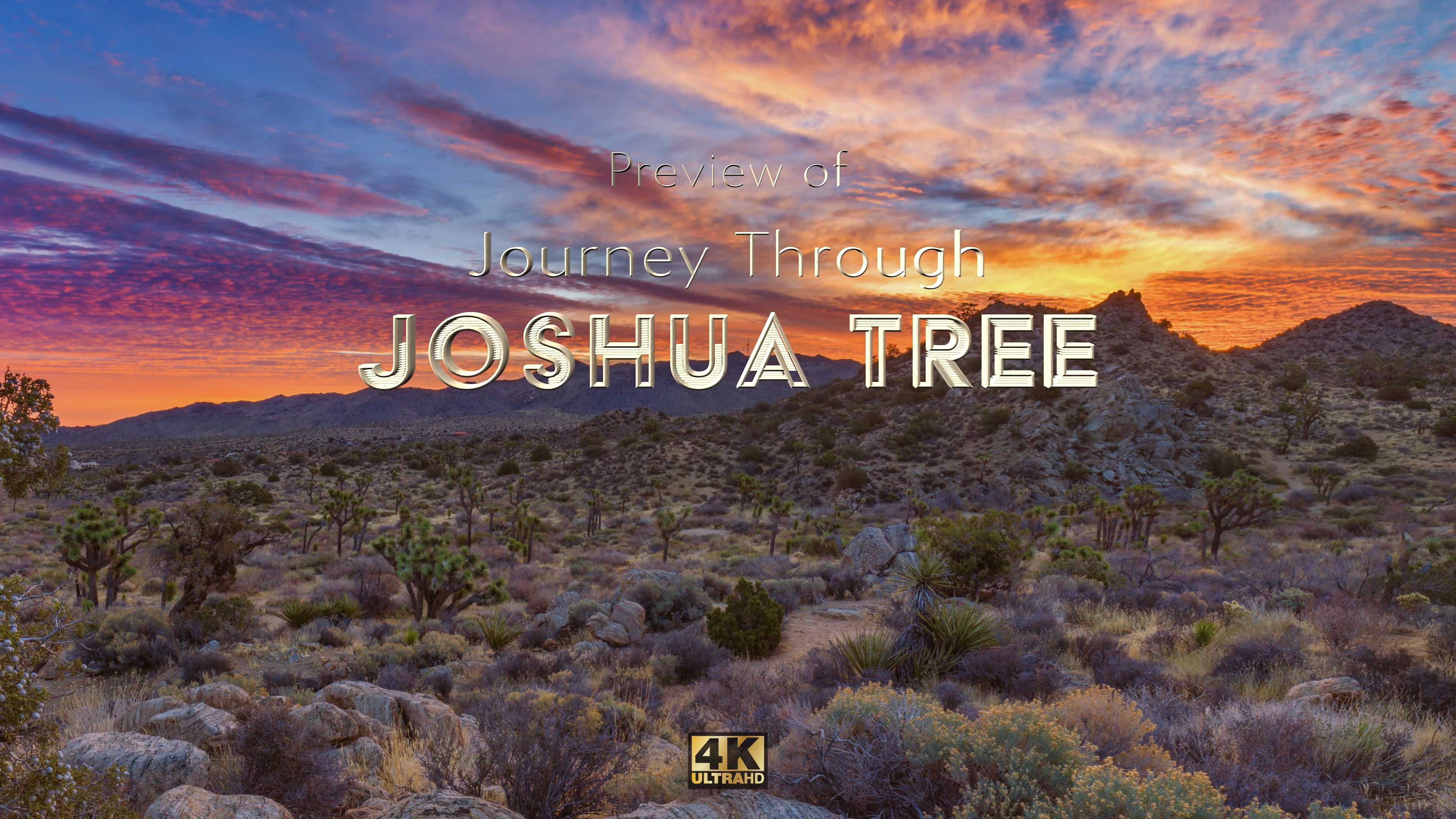 Preview of Joshua Tree