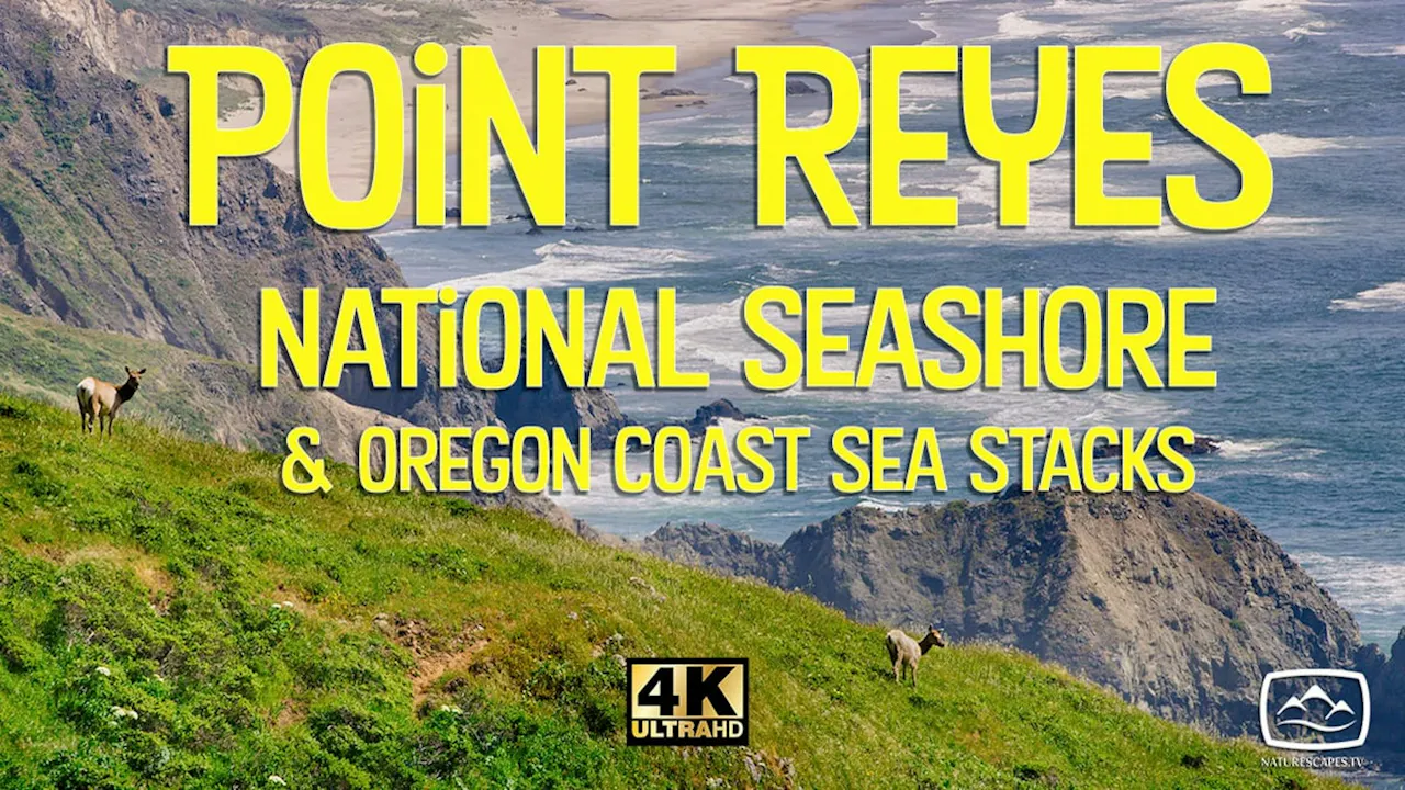 Point Reyes & Oregon Coast Sea Stacks