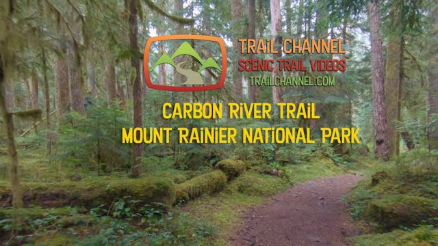 Carbon River Trail Mount Rainier