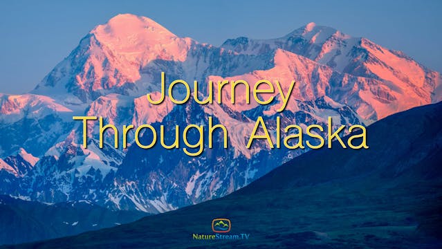 Journey Through Alaska