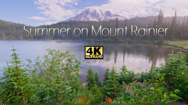 Summer on Mt. Rainier