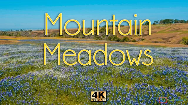 Mountain Meadows