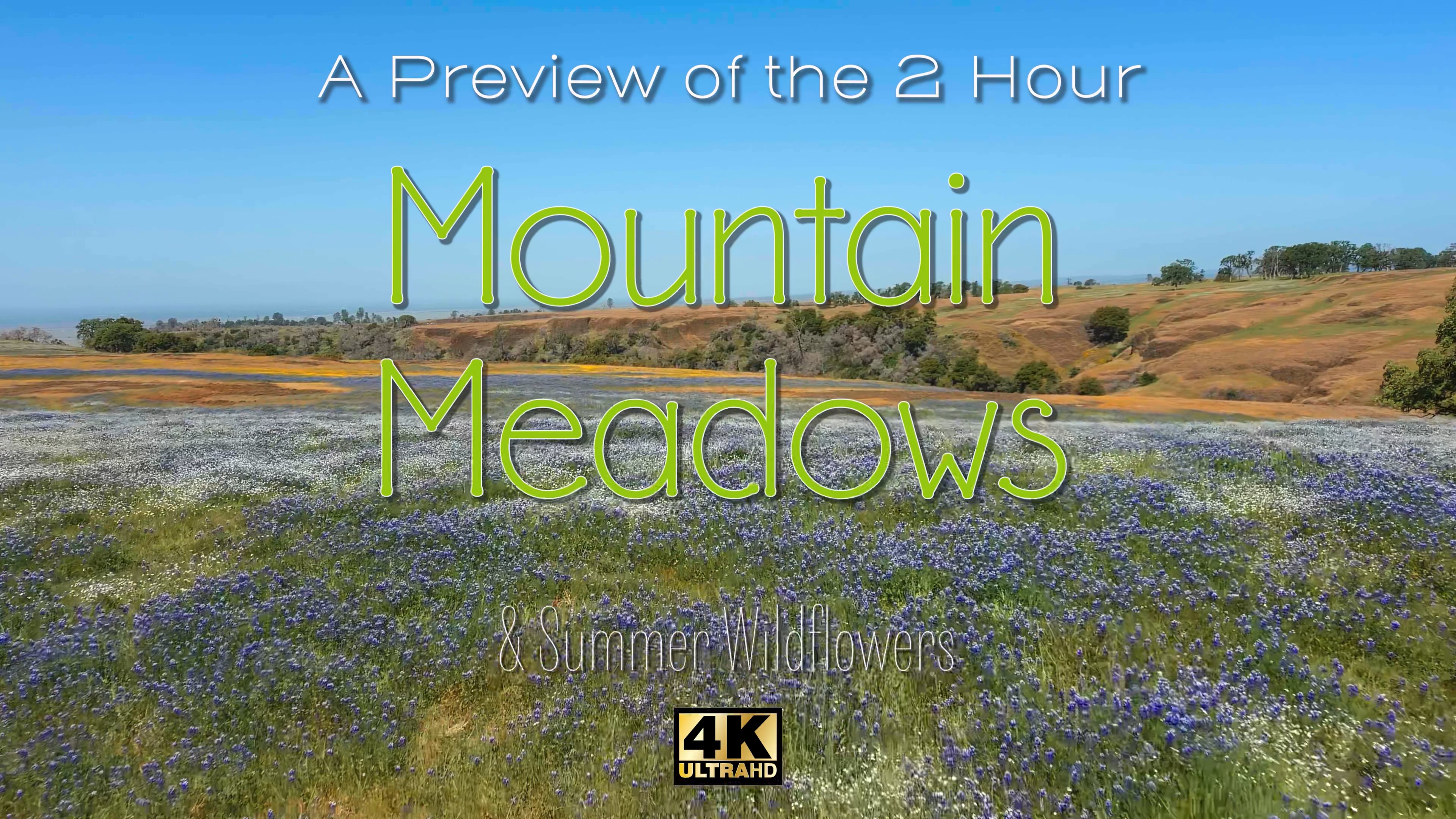 Vod Trailer Mountain Meadows