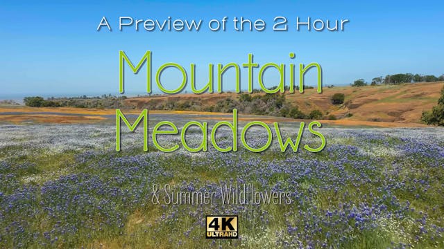 Vod Trailer Mountain Meadows