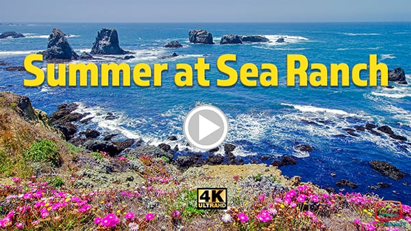 Summer at Sea Ranch