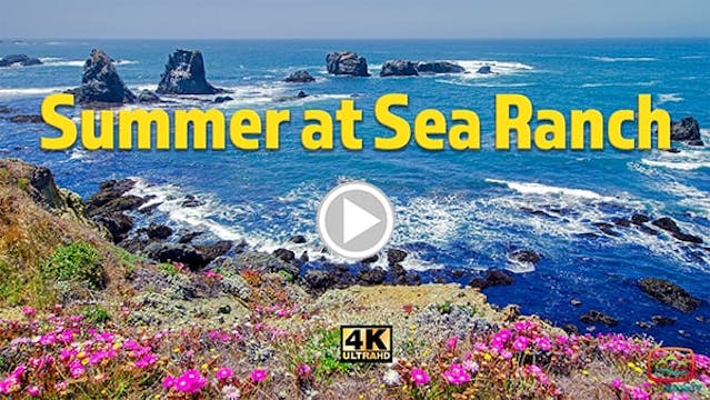 Summer at Sea Ranch