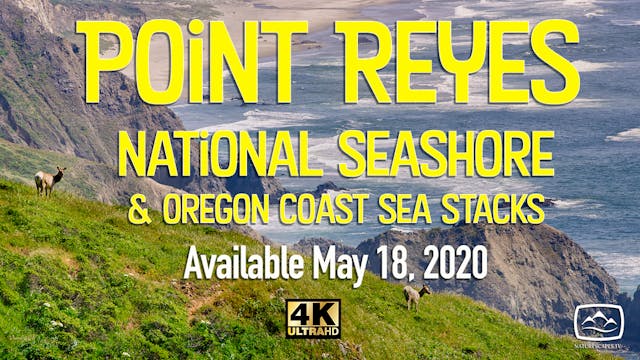 Point Reyes & Oregon Coast