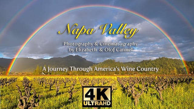 The Napa Valley - A Journey through A...