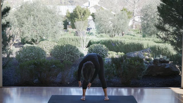 Qigong Tapping - Lower extremities