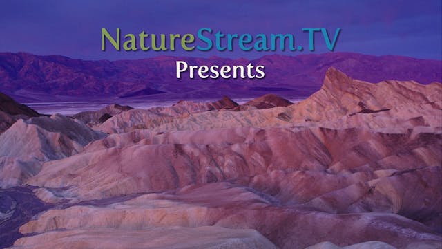 NEW Mono Lake - Death Valley 265