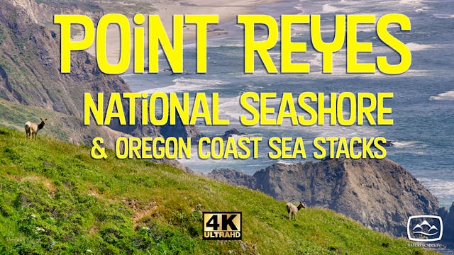 Point Reyes National Seashore & Oregon Coast Sea Stacks