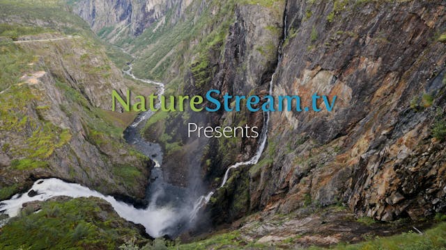 Preview for Fjords & Waterfalls of No...