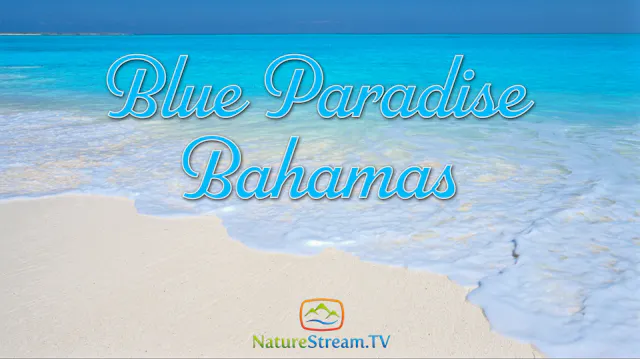 Blue Paradise, Bahamas