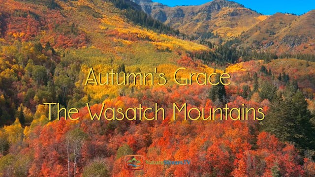 Autumn's Grace: The Wasatch Mountains