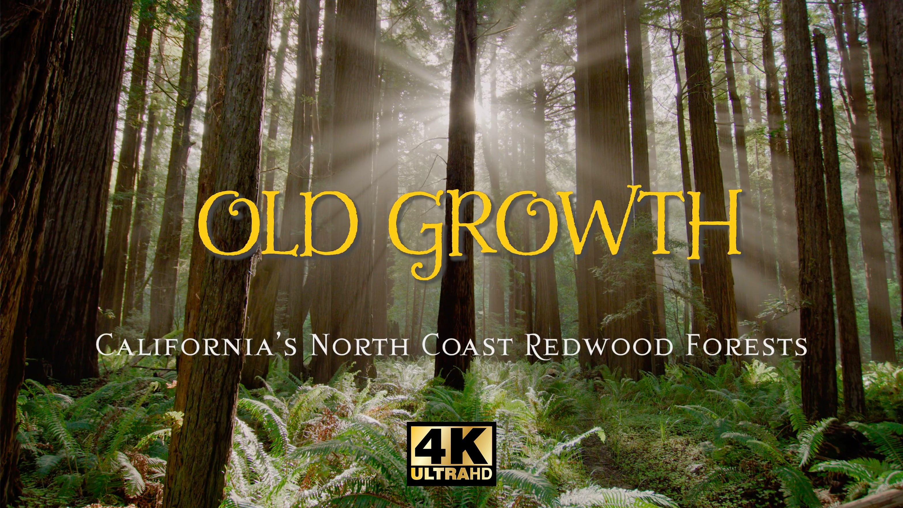 Preview of Old Growth
