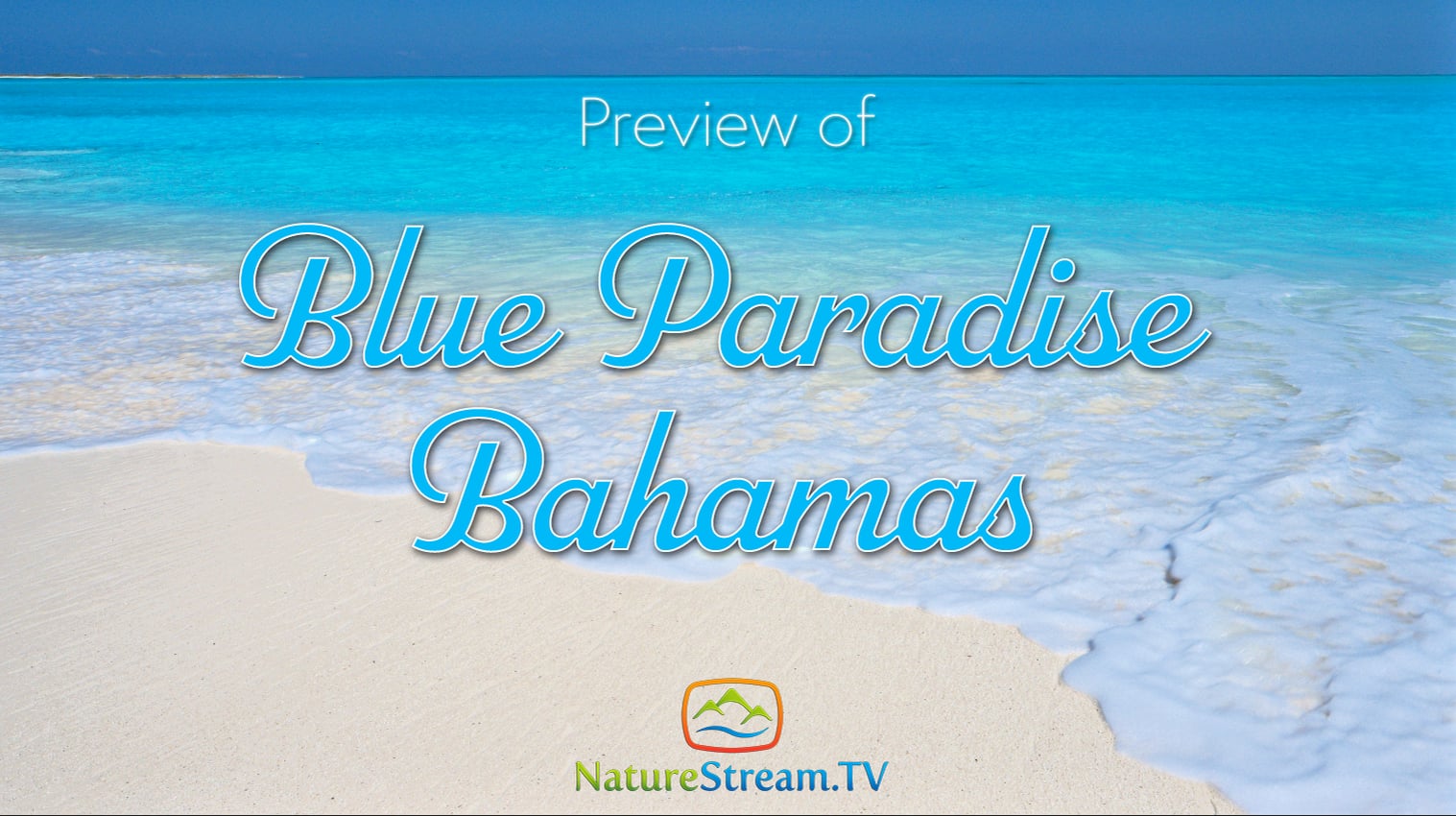 Preview for Blue Paradise Bahamas