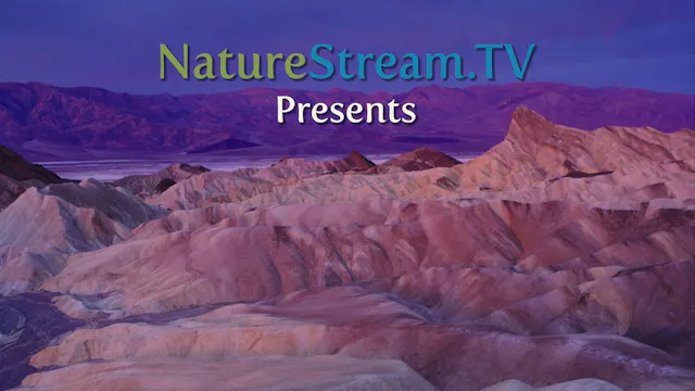 Death Valley and Mono Lake