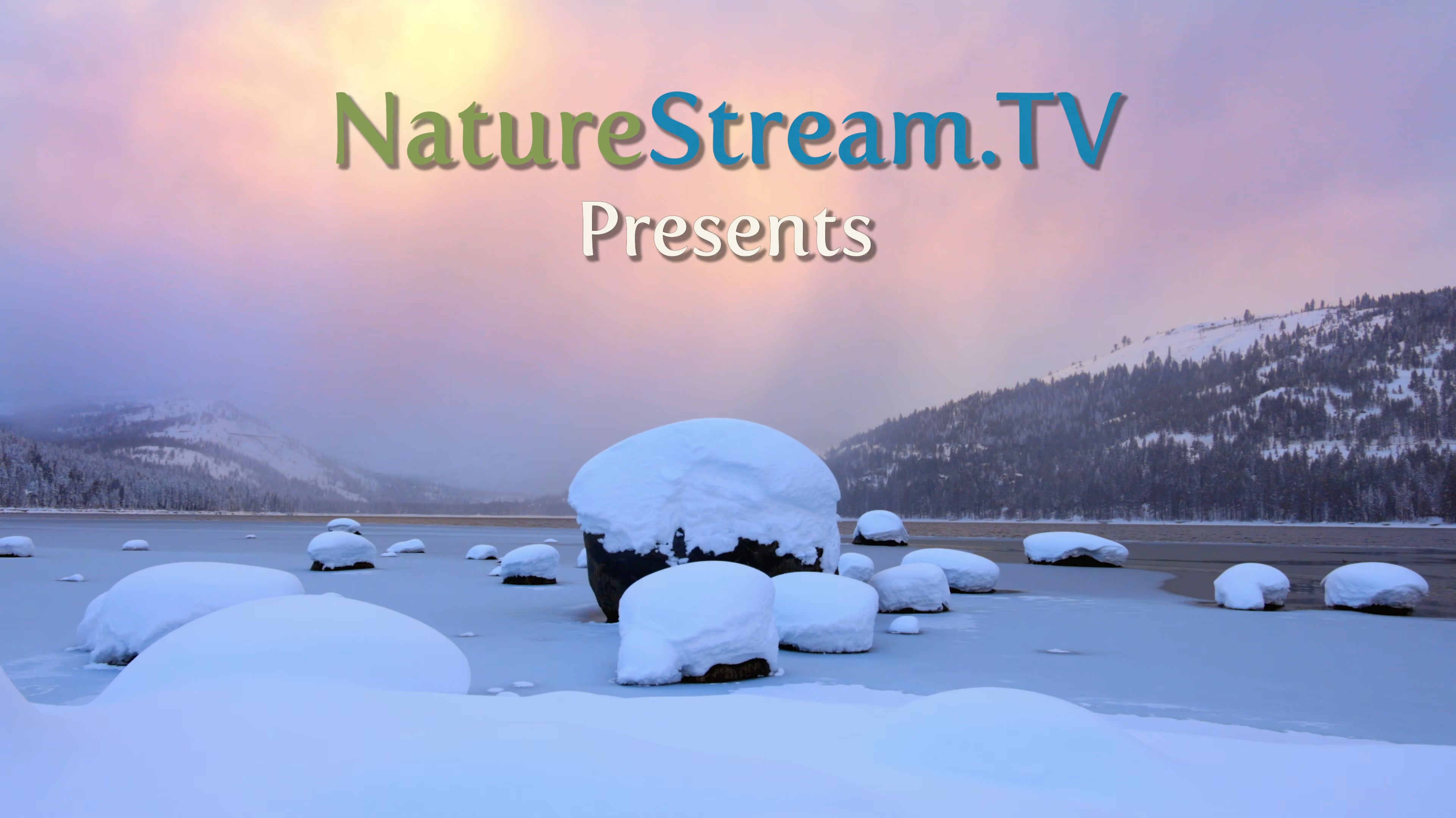 Preview of Winter's Grace