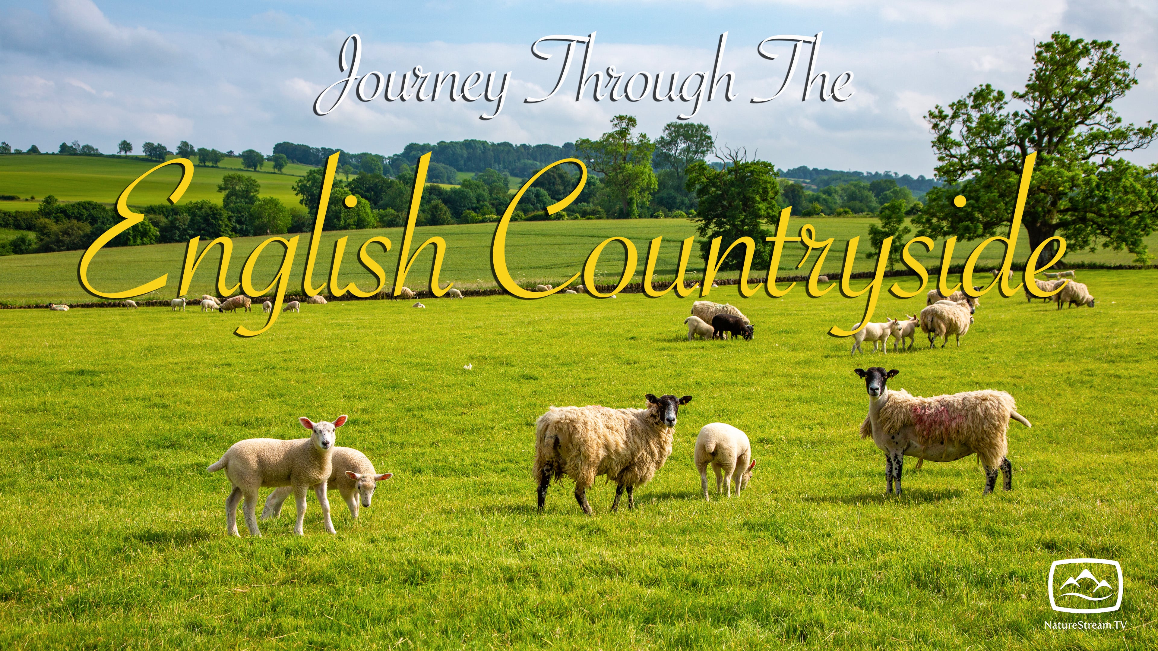 Journey Through the English Countryside