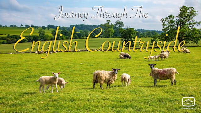 Journey Through the English Countryside