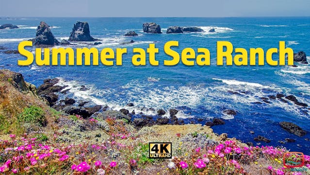 Preview of  Summer at Sea Ranch