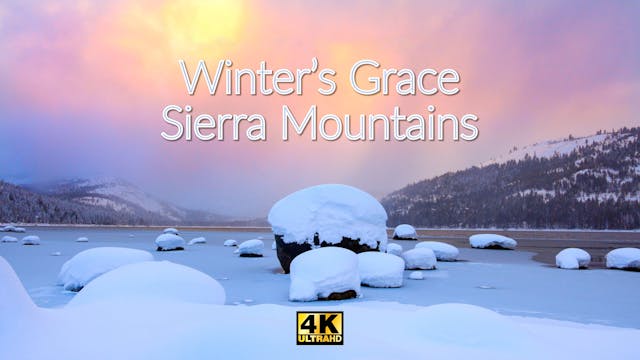 Winter's Grace, Sierra Mountains