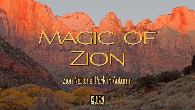 Magic of Zion