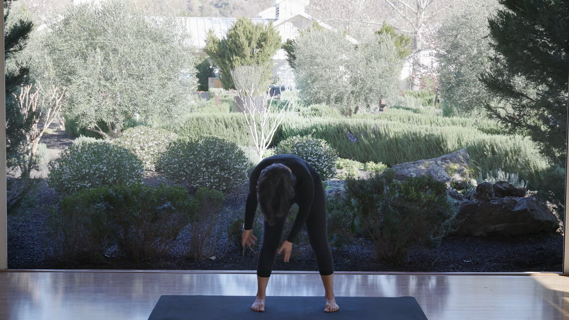 Qigong Tapping - Lower extremities