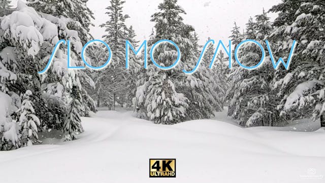 Slo Mo Snow
