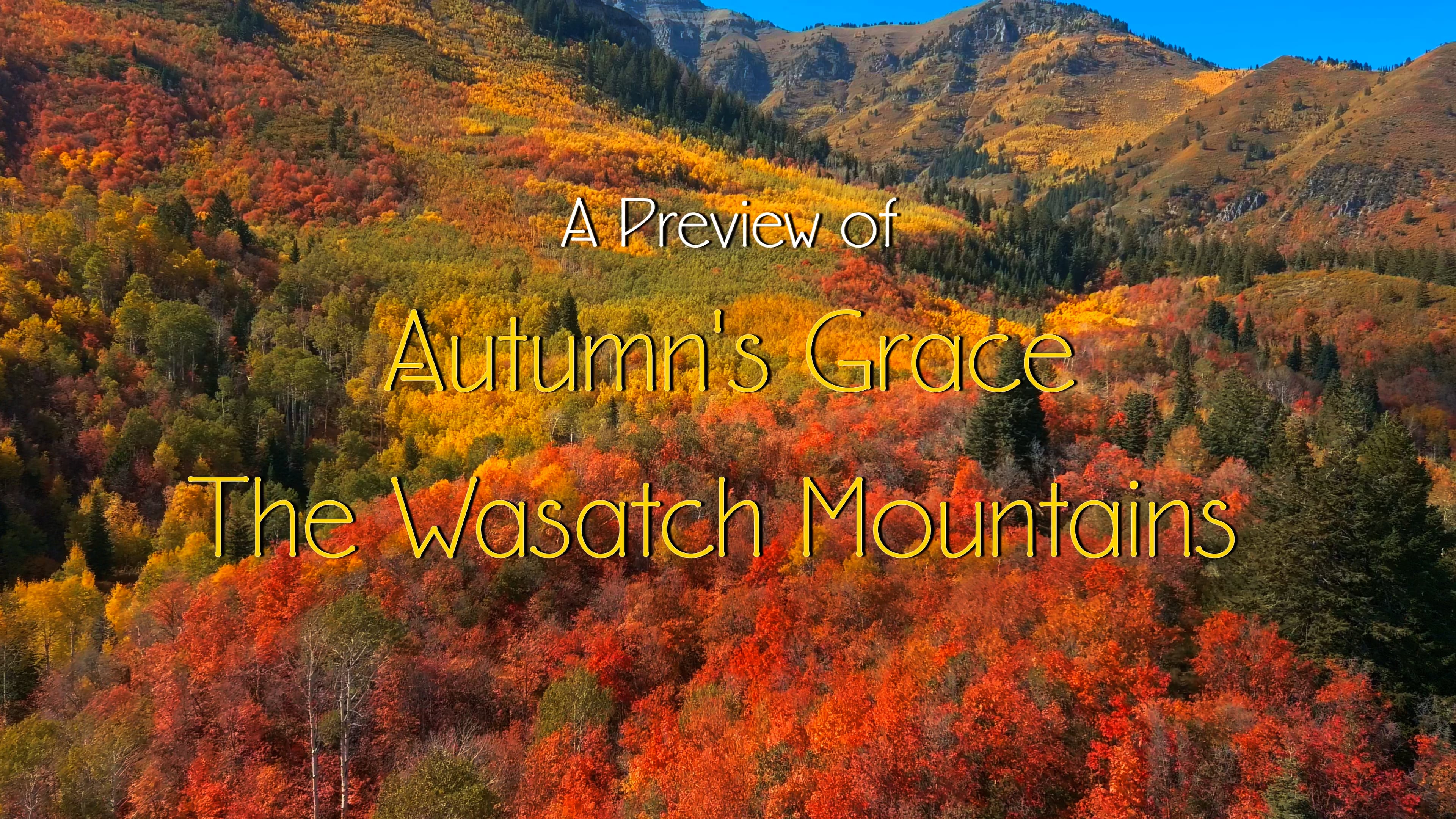 Preview of Autumn's Grace, Wasatch Mountains