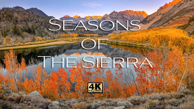 Preview of  Seasons of the Sierra