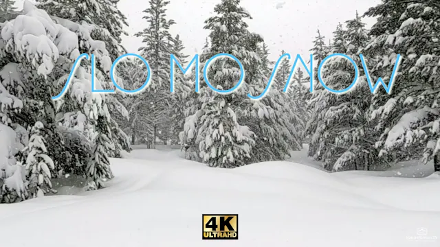Slo Mo Snow