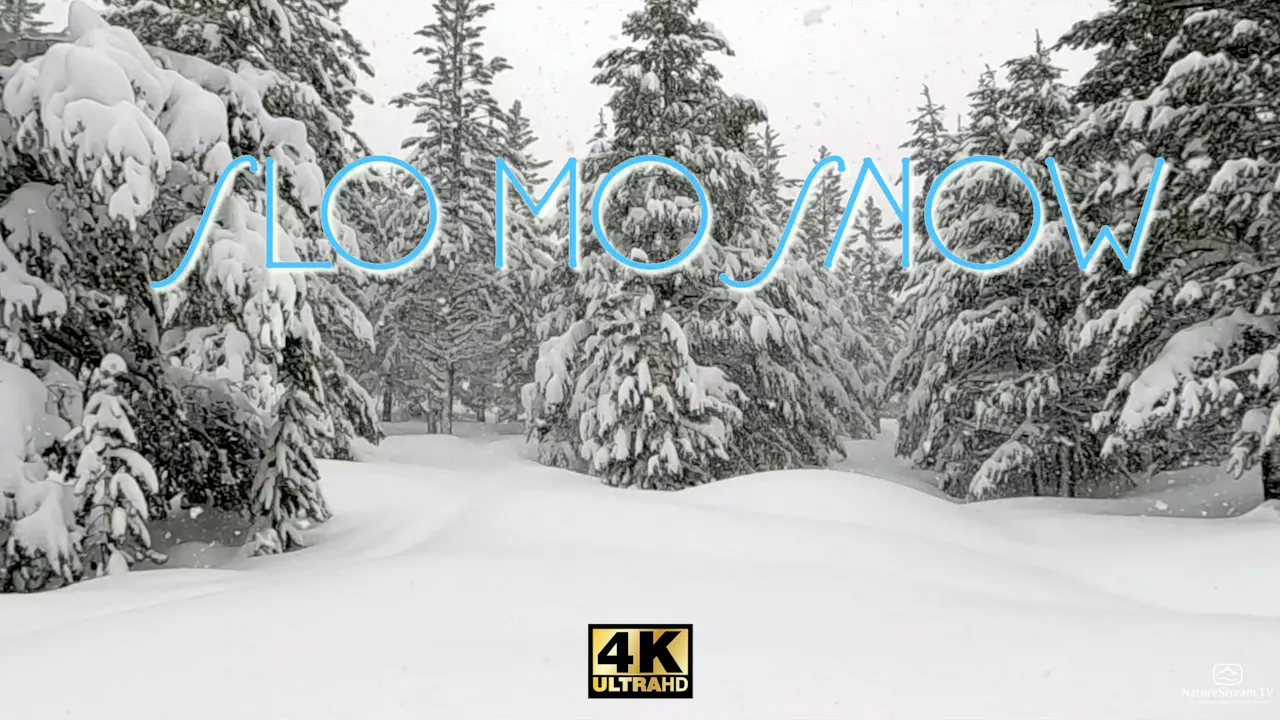 Slo Mo Snow