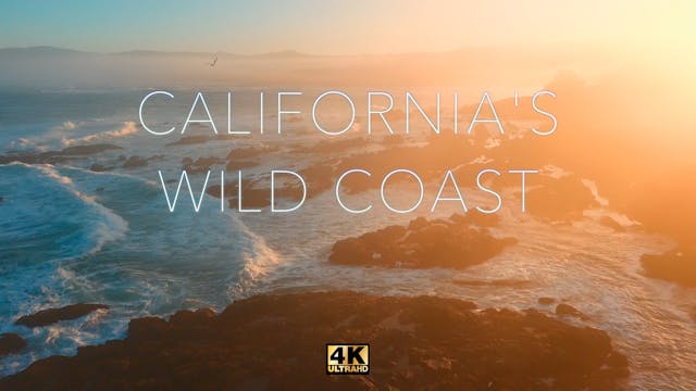 Preview of California's Wild Coast